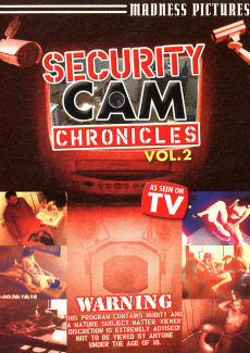 Security Cam Chronicles 2