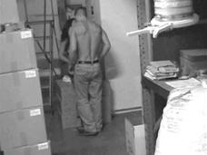 Security Cam Chronicles 5